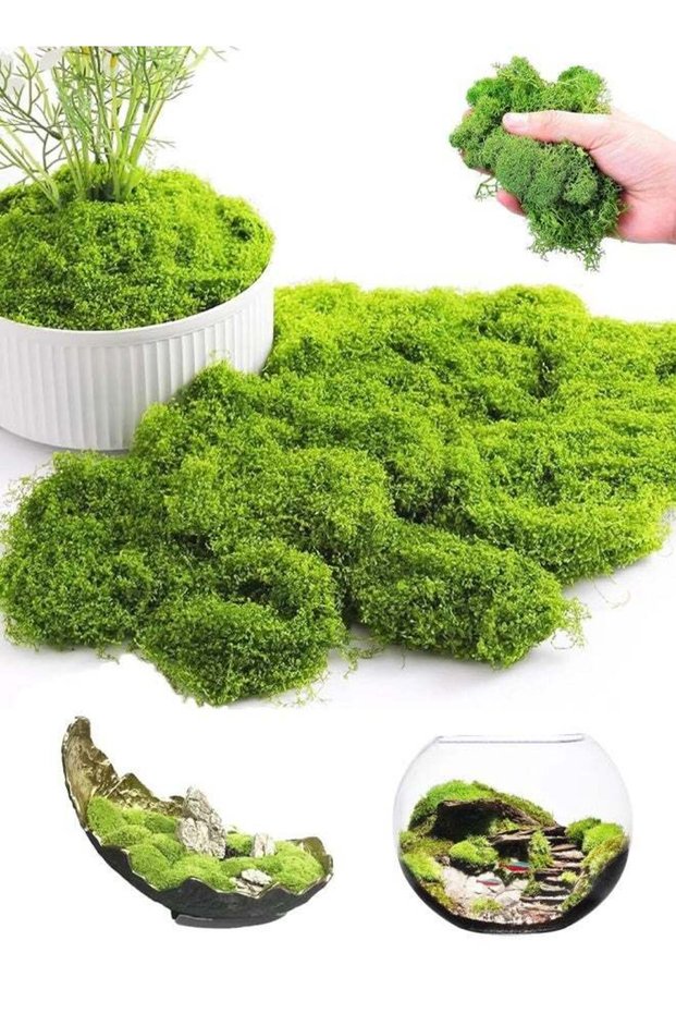100g Artificial Moss, Real Fake Moss, Faux Moss for Indoor Planters for Landscaping, Floristry and