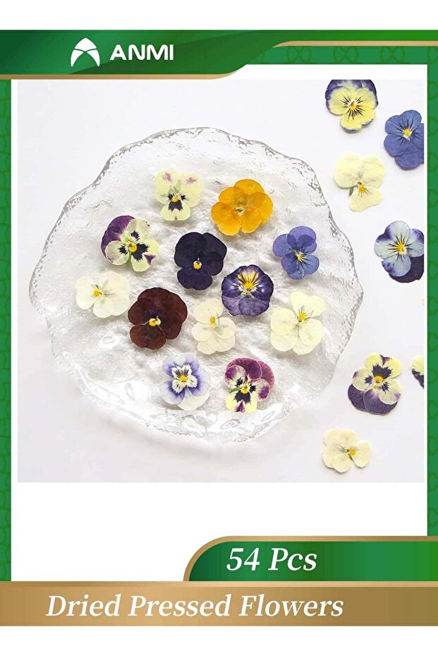54 Pcs Natural Dried Flowers for Resin Art, Pressed Pansy Decor for Epoxy Jewelry, Cake Decoration