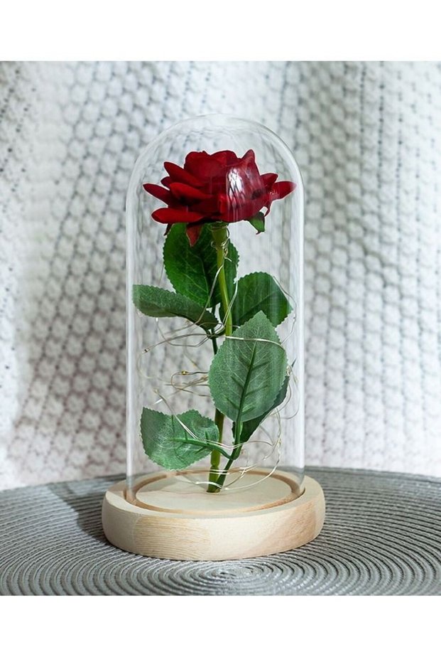 Beauty and The Beast Rose In LED Glass Dome