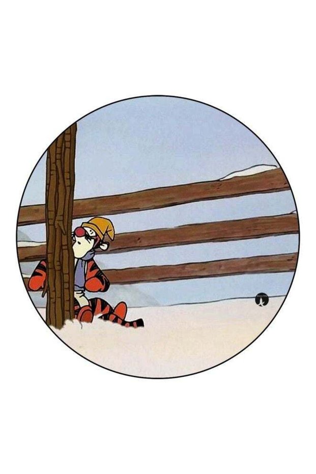 Tiger Printed Fridge Magnet Brown/Red/White 5.5cm