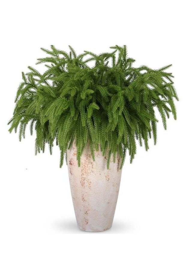 12Pcs Artificial Norfolk Pine Branches, Faux Norfolk Pine Stems DIY Crafts Faux Christmas Norfolk P