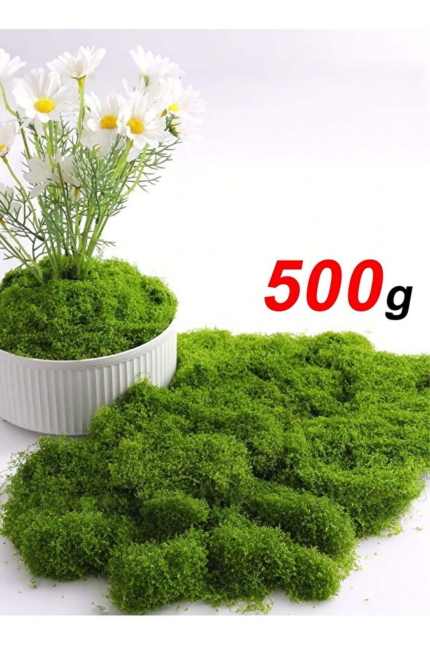 500g Moss Grass Perfectly Simulates Artificial Moss Fake Green Grass for Centerpieces Home Kitchen