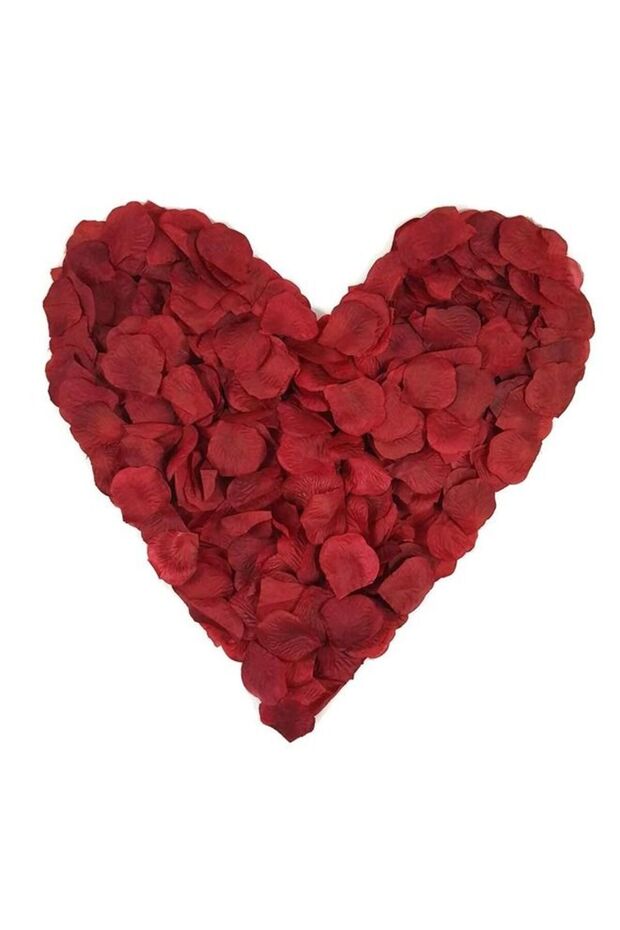 1000 Pieces Burgundy Artificial Rose Petals, Flower Decoration for Wedding Party (Wine Red)