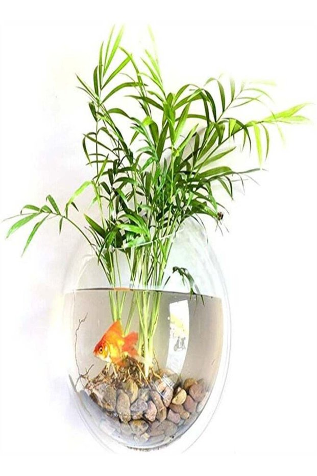 Hanging Wall Mounted Fish Tank Bowl Aquarium Decor Plant Bubble - Clear(150MM)