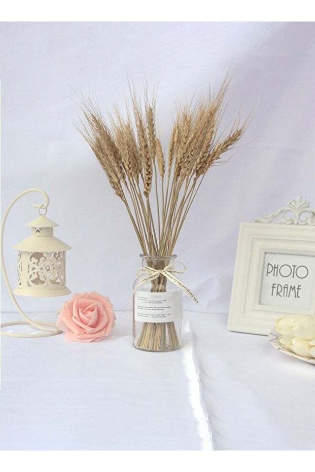 Clear Glass Vase Craft Aesthetic Decorative Small Flower Vase Hydroponic Plant Desktop Ornament Vas