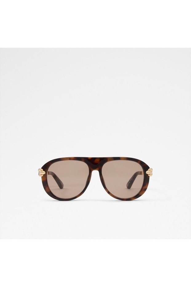 Sieenna Ladies Brown Sunglass