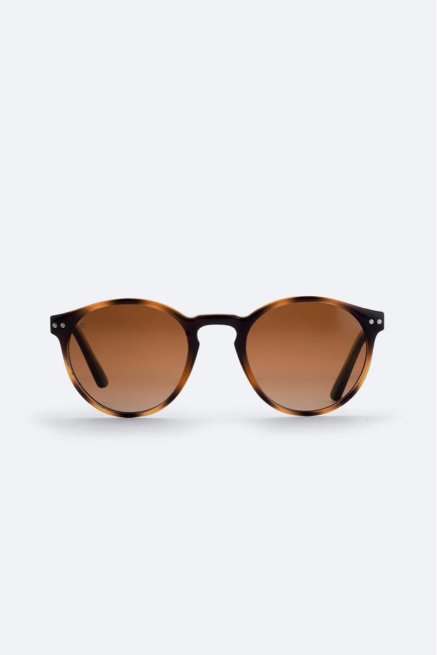 Brown Round Frame Polarized Sunglasses B008806