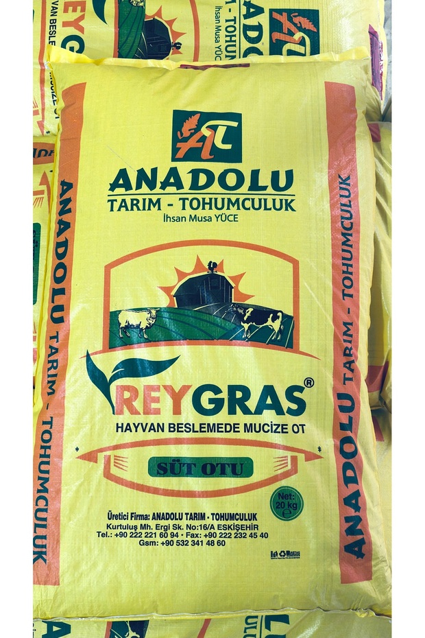 Reygras