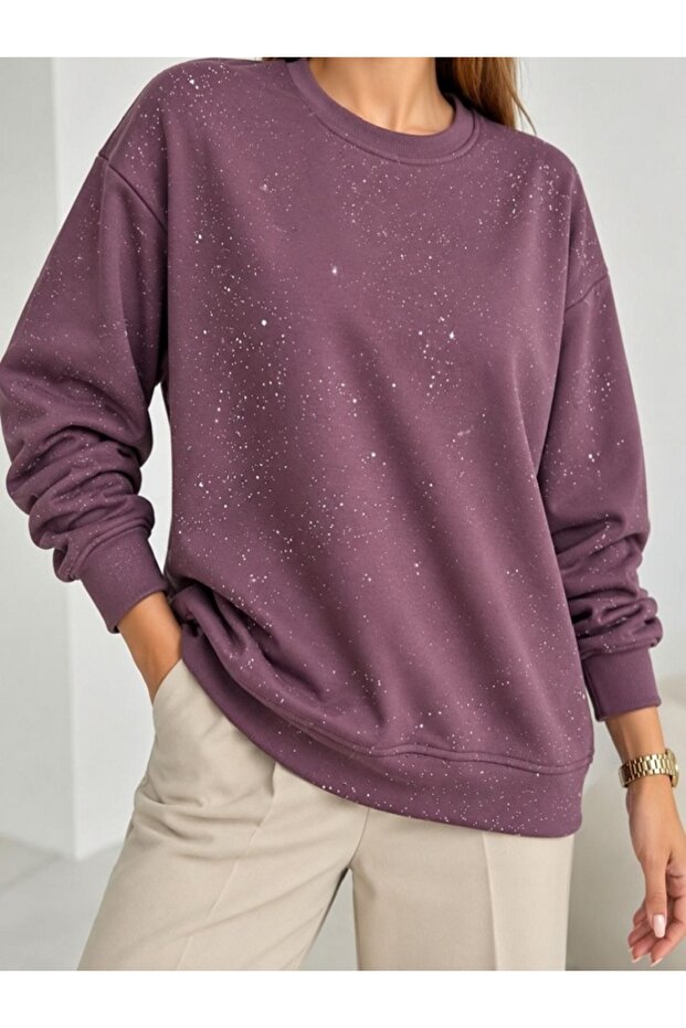 Basic Model Silvery Casual Sweatshirt