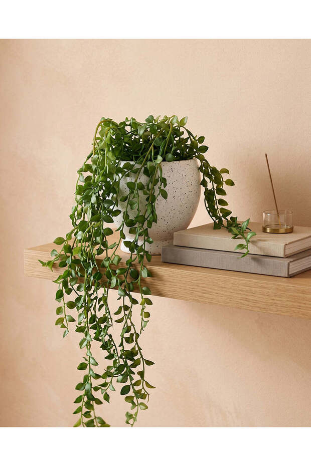 Hanging Plant with Ceramic Pot