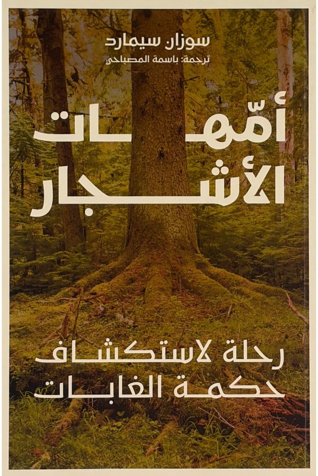 امهات الأشجار