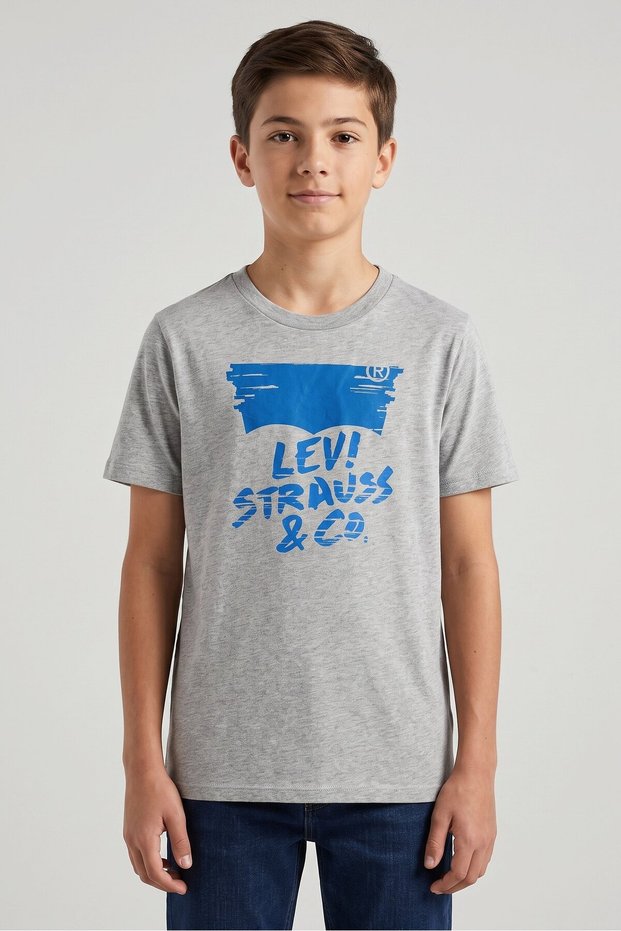 Kids Boy Crew Neck Short Sleeve Graphic Print T-Shirt, Grey
