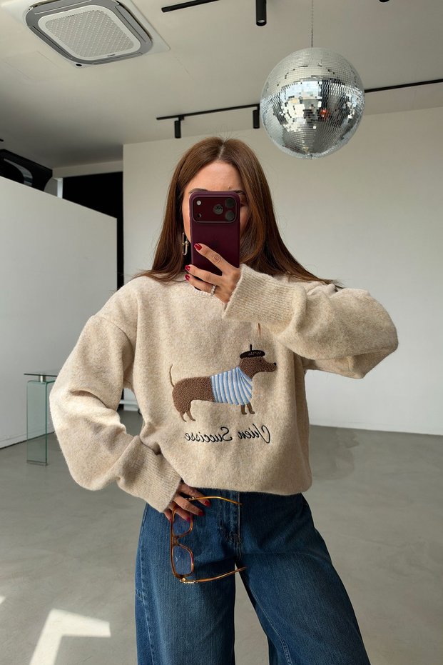 Dog Figured Embroidery Detailed Crew Neck Oversize Knitwear Sweater Aw26Kz00090