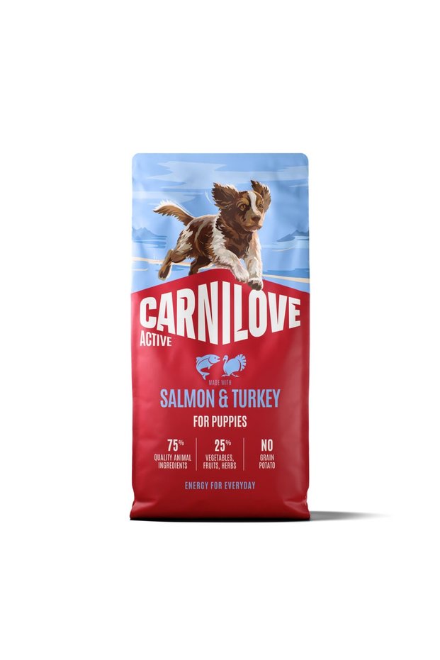 Active Salmon & Turkey for Puppies Dry Dog Food 1.5kg