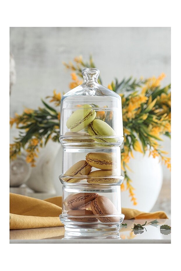 Berry 3-Layer Serving Bowl with Cover, 710 cc, Clear