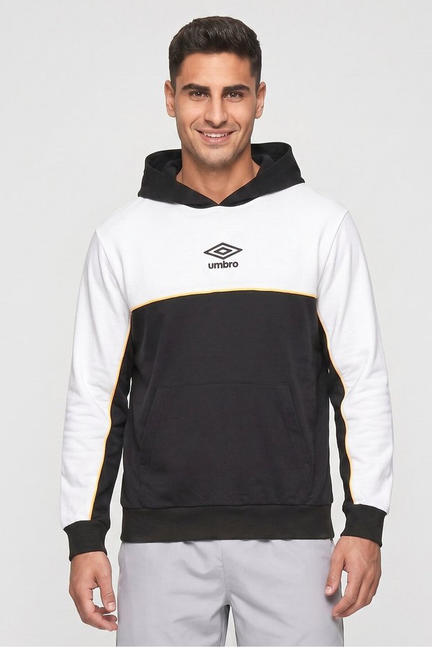Men Sportswear Fit Embroidered Logo Outdoor Hoodie, Multicolor