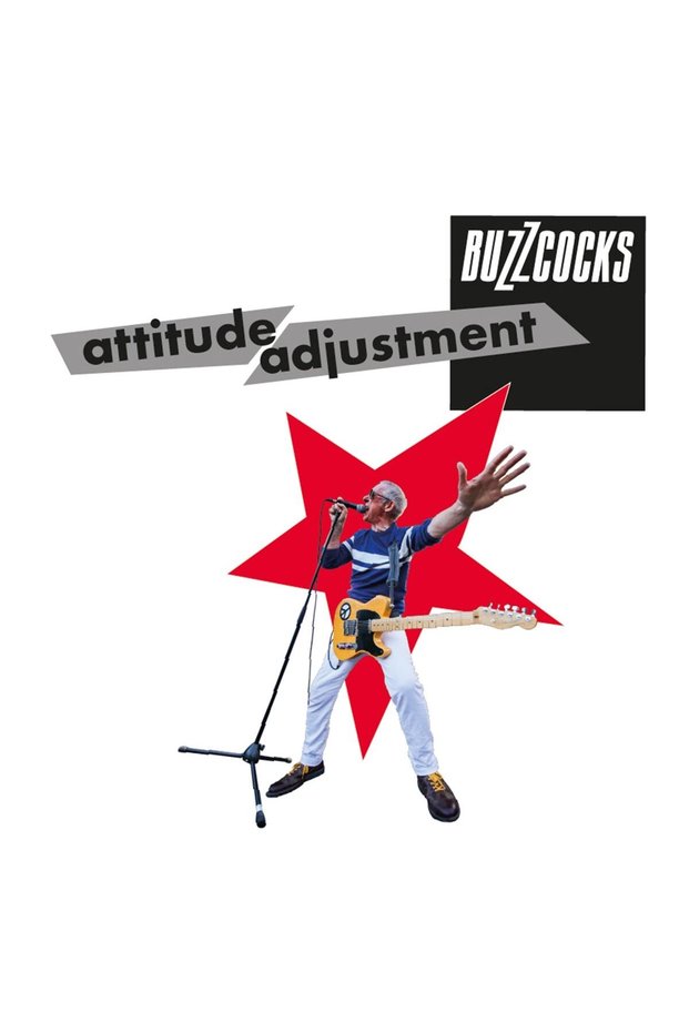Buzzcocks - Attitude Adjustment (Vinyl)