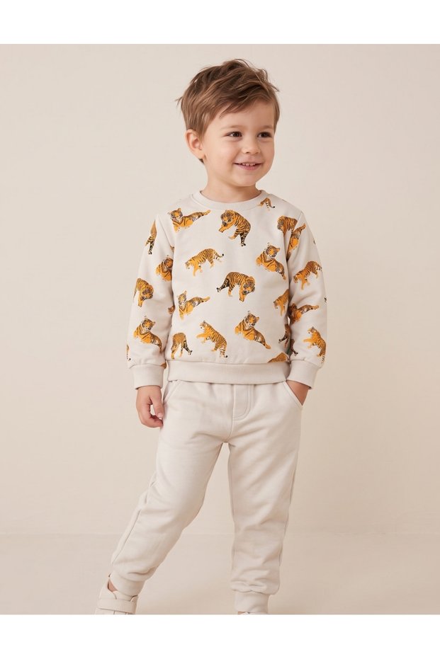 Compleu Shere Khan, gri