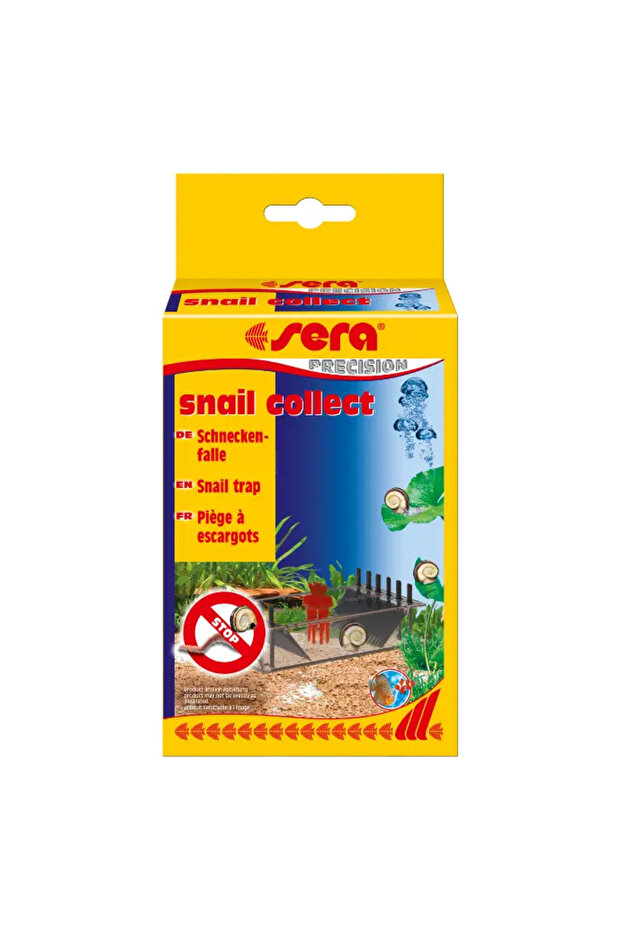 Snail Collect 1Pc