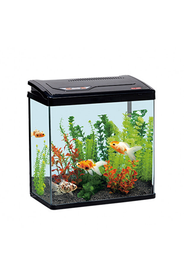 Py-Series Aquarium 285 X 180 X 300Mm[Color - Black]