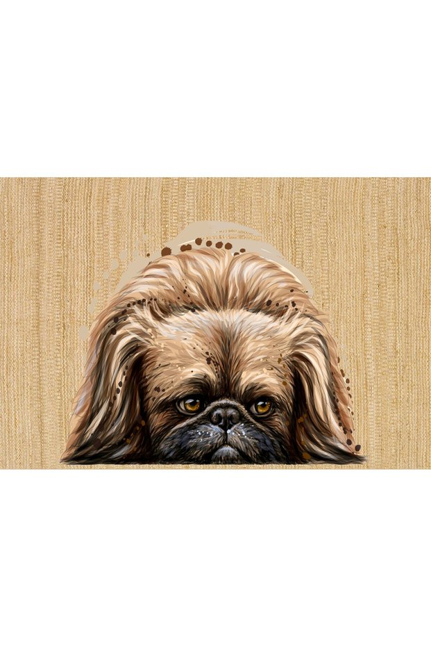 Dog Figured Door Mat 40 X 60 cm