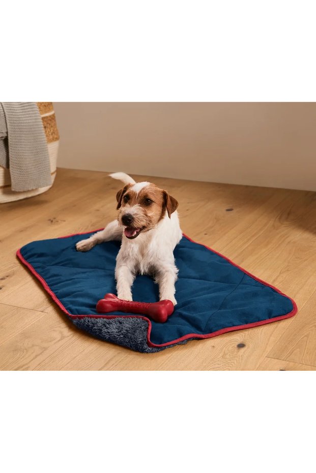 Köpek İçin Battaniye