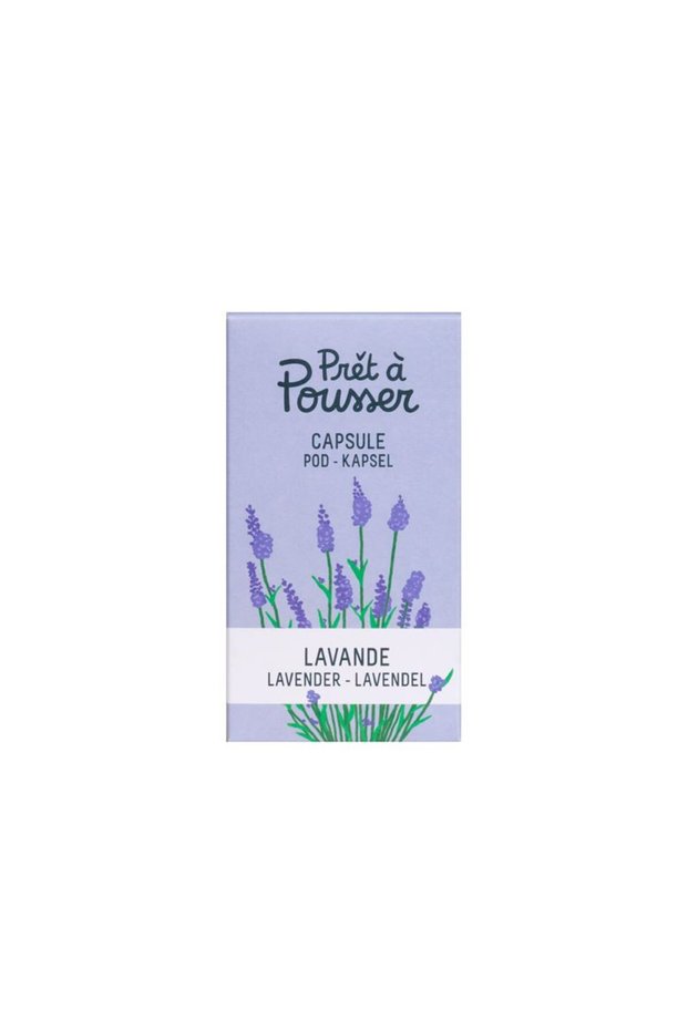 Seminte lavanda