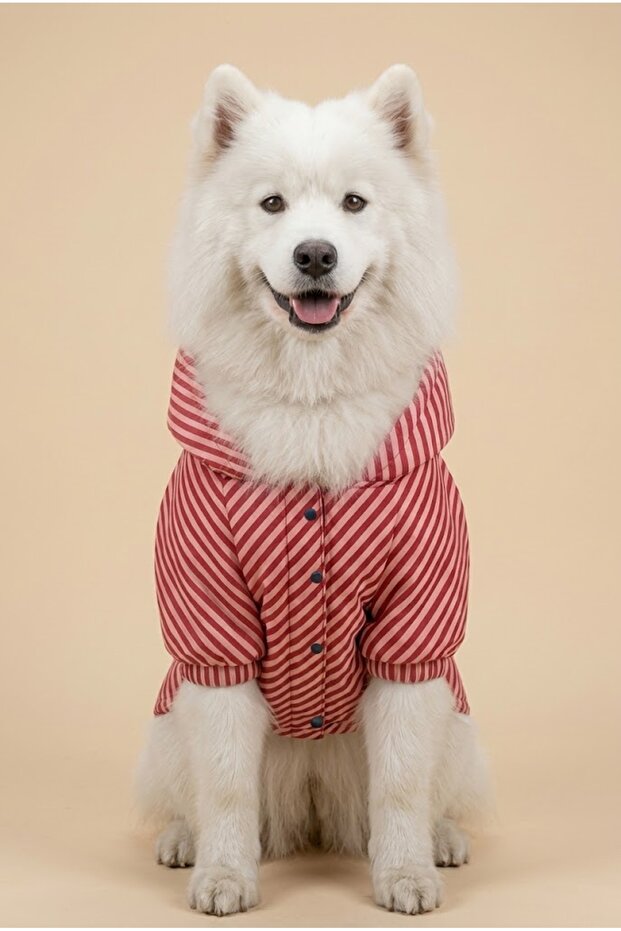 Dog Raincoat, Water Repellent, Compatible with Back and Neck Collars, Snap Fasteners, Two-Level Adjustable