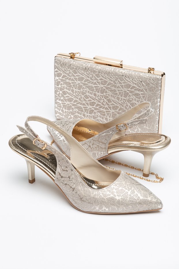 Women's Pointed Toe Shiny Evening Shoes and Bag