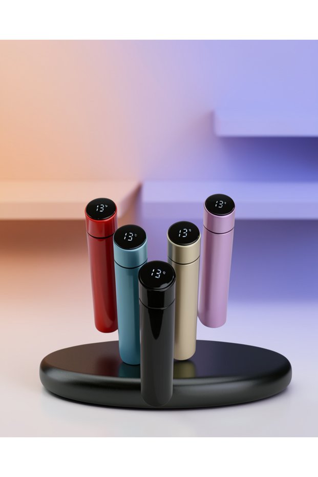 250ml Stainless Steel Thermos with Led Display