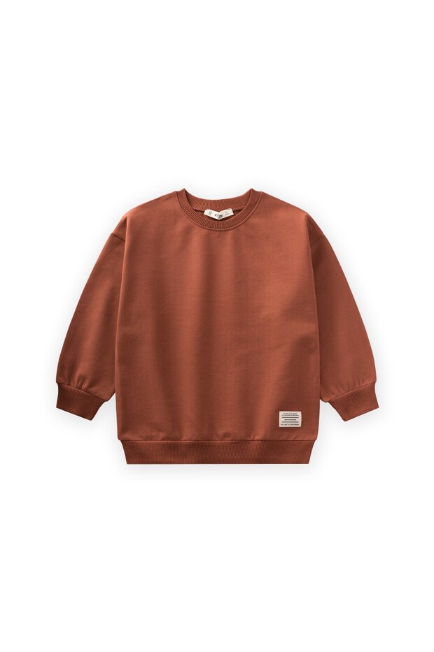 Sweatshirts - Red - Regular fit