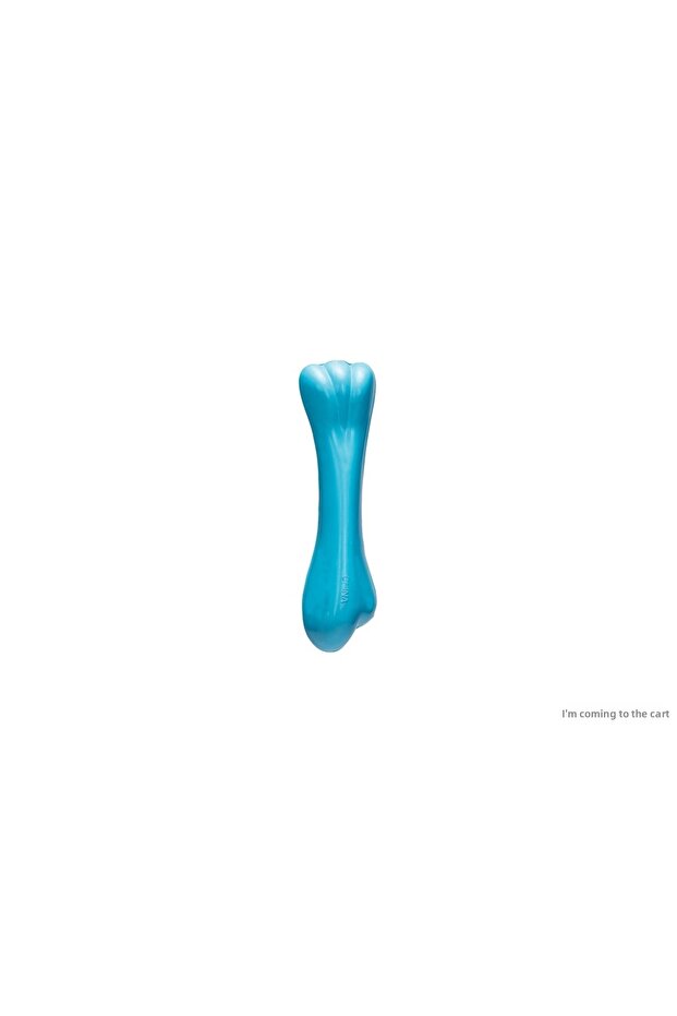 Spt-Gld Plastic Bone Toy for Dogs (234541) Blue (12X3X3)