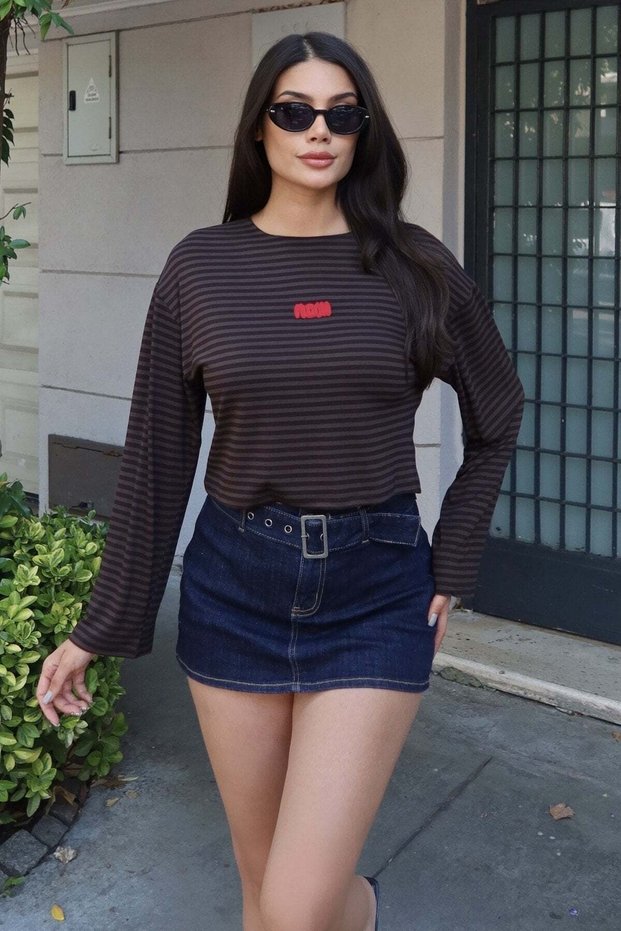 Striped Fabric Embroidered Blouse Brown