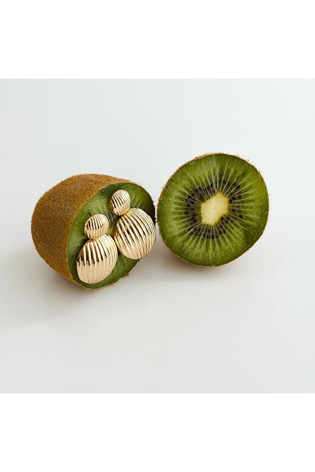 Ostuni Steel Earring | Steel Earrings