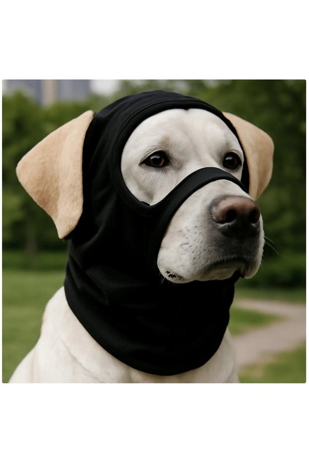 S black New Dog Face Mask Headgear Headwear Decoration Multiple Sizes To Choose From Leisure Minimal