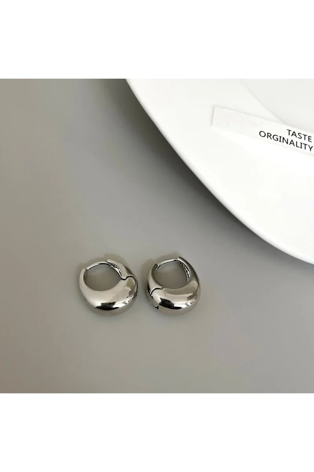 02 Stainless Steel Smooth Metal Chunky Hoop Earrings for Women Girls Fashion Round Circle Hoops Stat