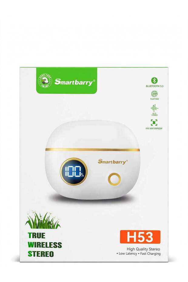 Smartbarry H53 True Wireless Earbuds - Bluetooth 5.3, LED Display, 30H Playtime