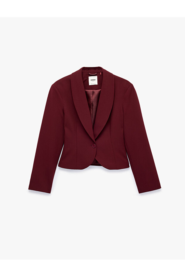 Buttoned Wide Collar Long Sleeve Crop Blazer Jacket