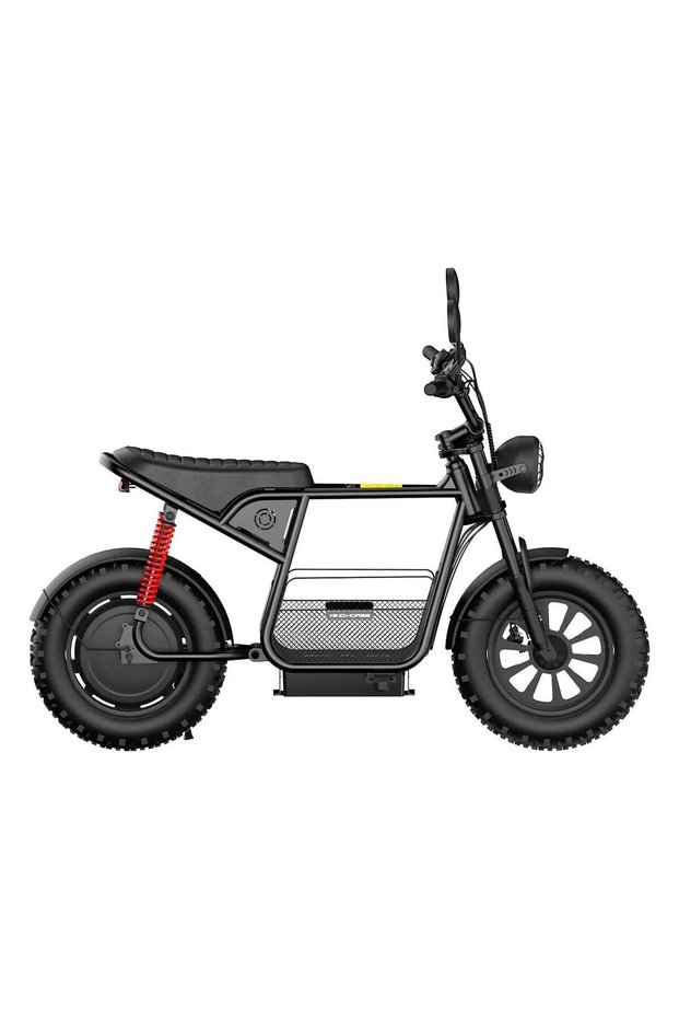 Windhorse D1