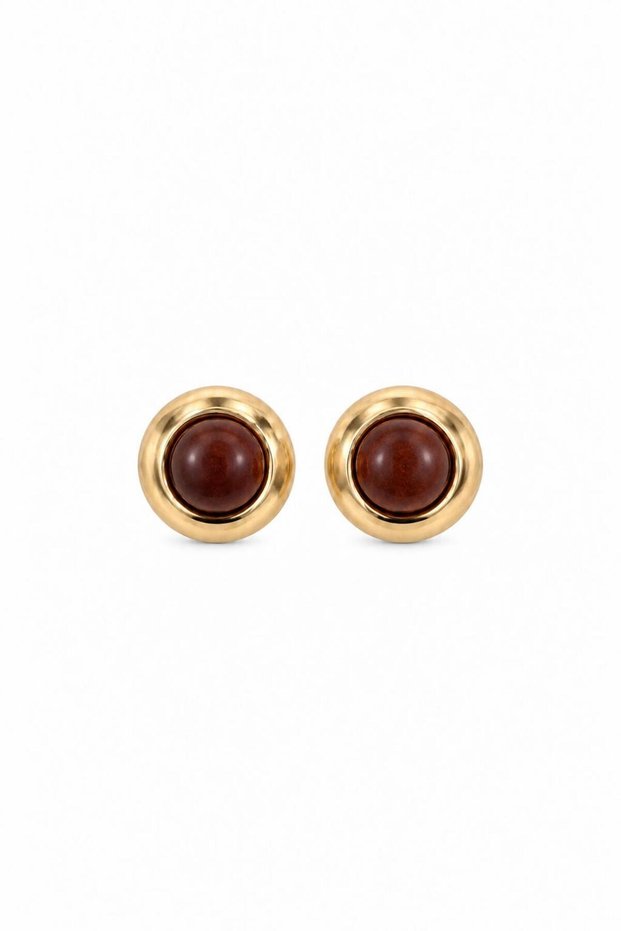 Steel Terra Wooden Detailed Earrings
