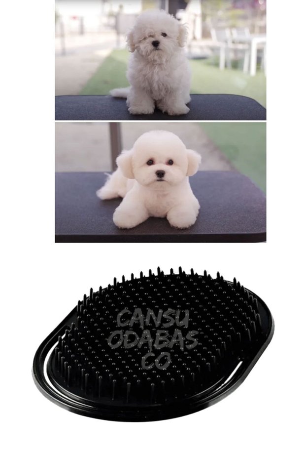 Dog Shedding and Tangle Prevention Knot-Opening Hair Ventilation Comb