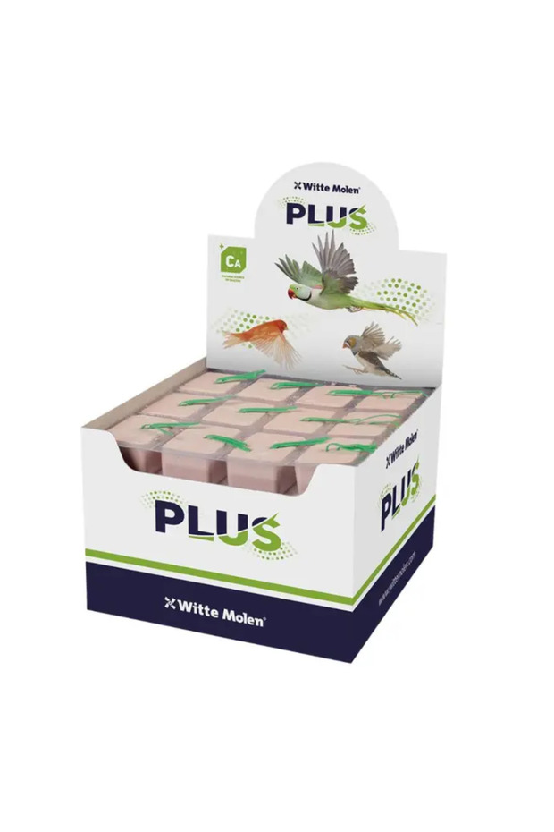 Plus Energy Block S -Red, (Min Order - 60Pcs)[Size - S]