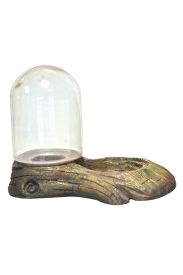 Reptiles Feeding Bowl U-605-15.5X10.8X11Cm