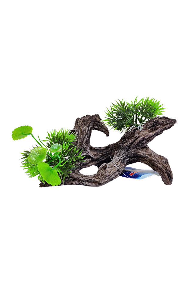 Planty Aqua Decoration 17X8X9Cm