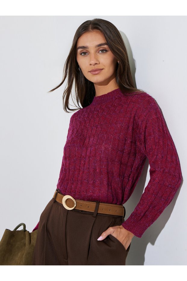 Burgundy Solid Cable Knit Regular Fit Sweater