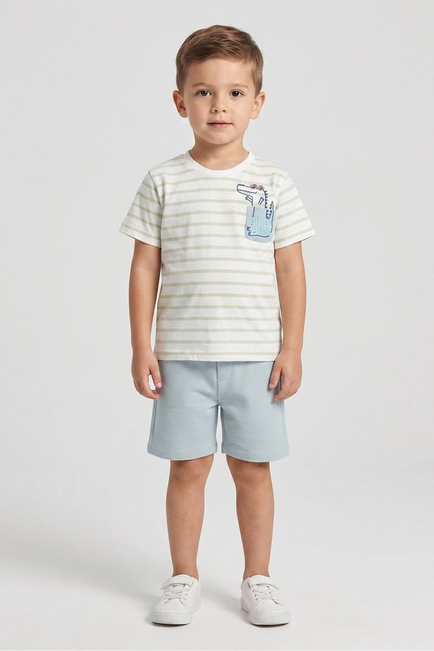 Toddlers Boy 2 Pieces Embroidered T-Shirt And Shorts Set, Multicolor