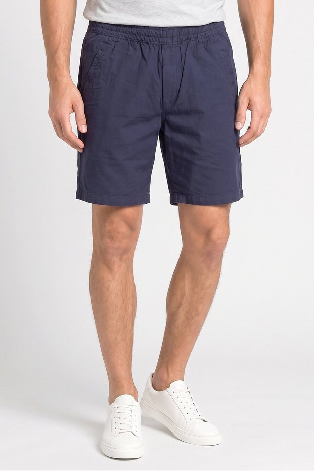 Men Regular Fit Plain Chino Shorts, Washed Blue