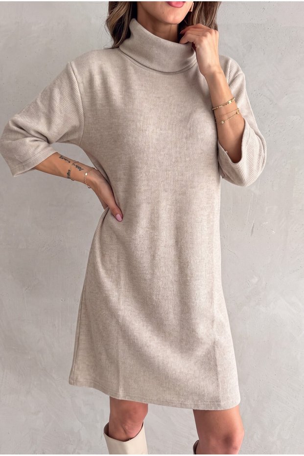 Turtleneck Loose Cut Fleece-Lined Dress
