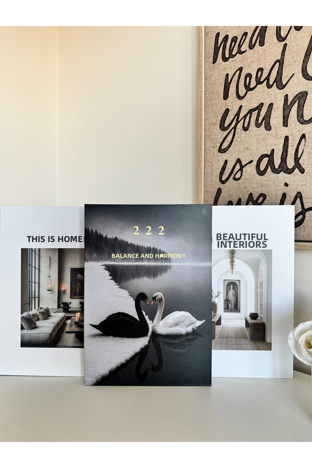 222 Balance and Harmony & Artful Interiors & This Is Home 3-Piece Decorative Book Box Set – Black and White Modern Luxury Design