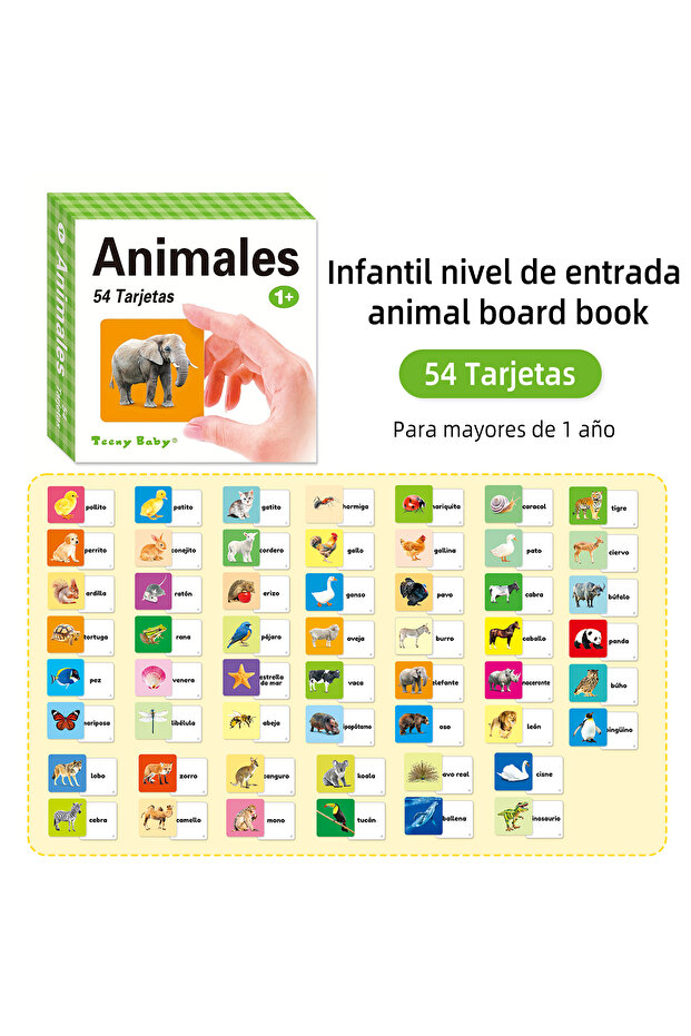 976-931C Spanish Early Education Color Card, Early Cognitive Enlightenment of Letters and Numbers, B